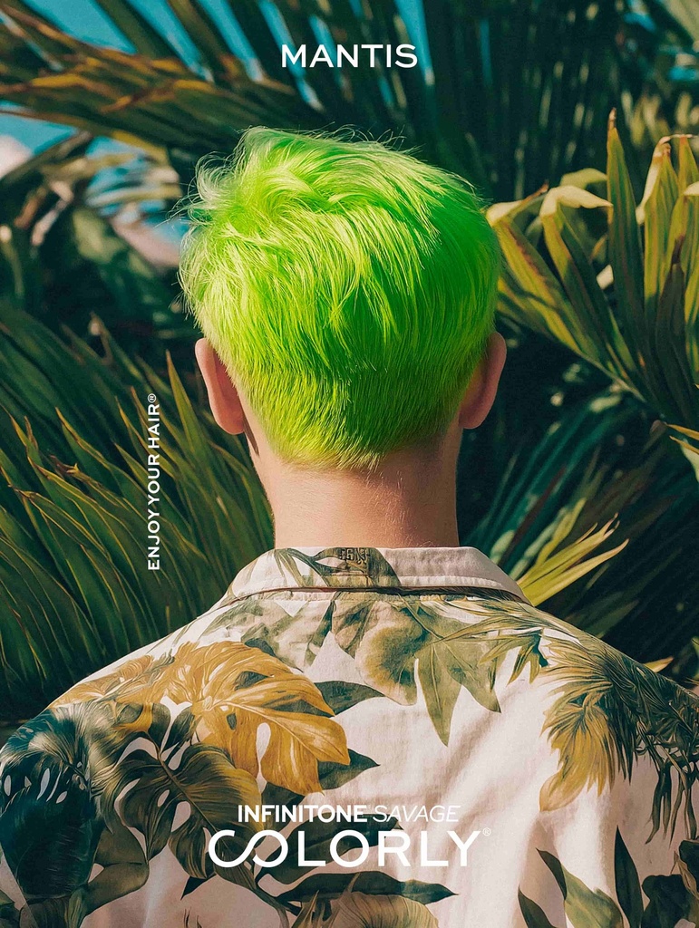TINTE FANTASIA MANTIS COLORLY