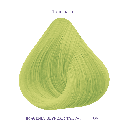 TINTE FANTASIA MANTIS COLORLY