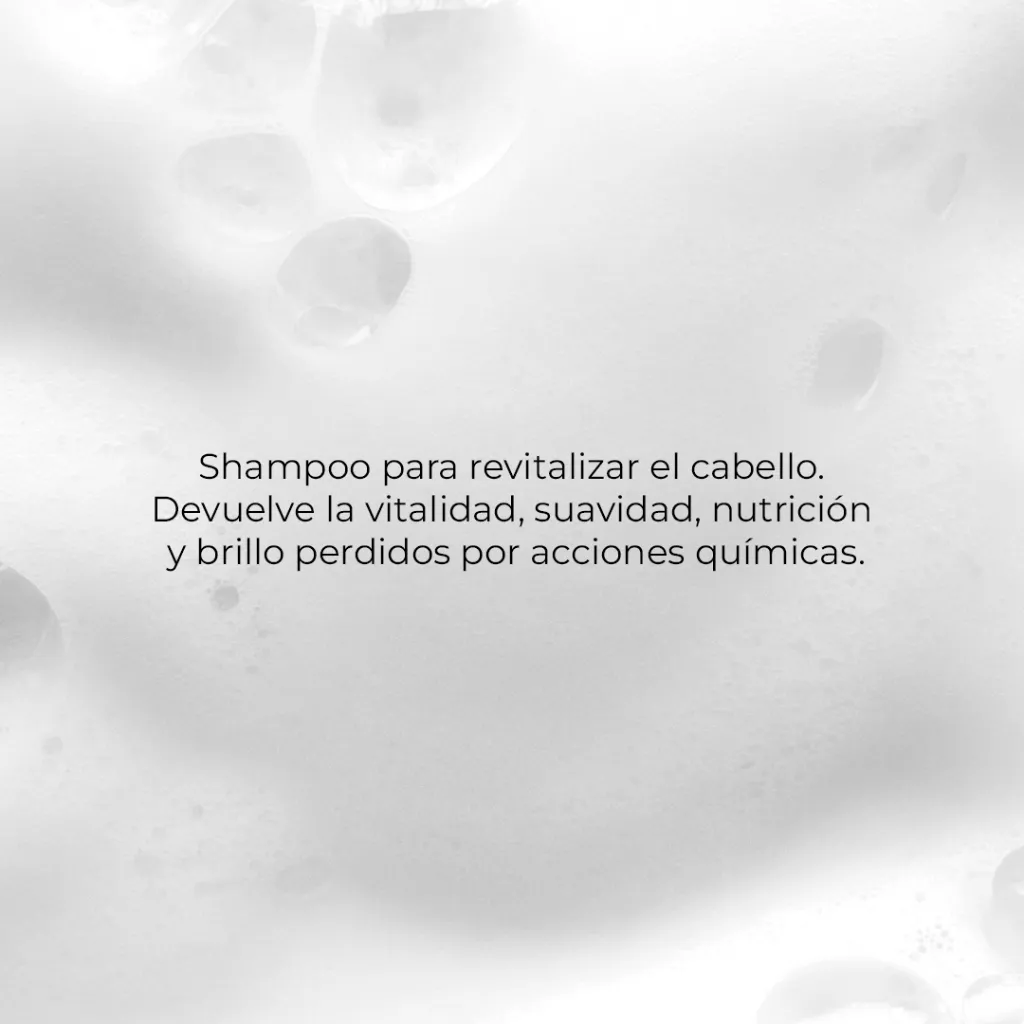 RECONS-W2_02.webp