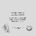 BIFW_04.webp