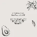M7023_10.webp