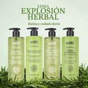 KIT FAMILIAR-HERBAL 100 ML