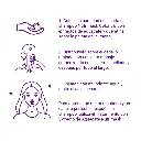 C-NUTRI_04.webp