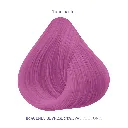 CFMAGENTA-Lotus_05.webp