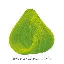 CFMANTIS_02.webp