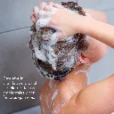 CMS_04.webp