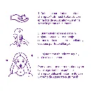 C-NUTRI_04 (1).webp