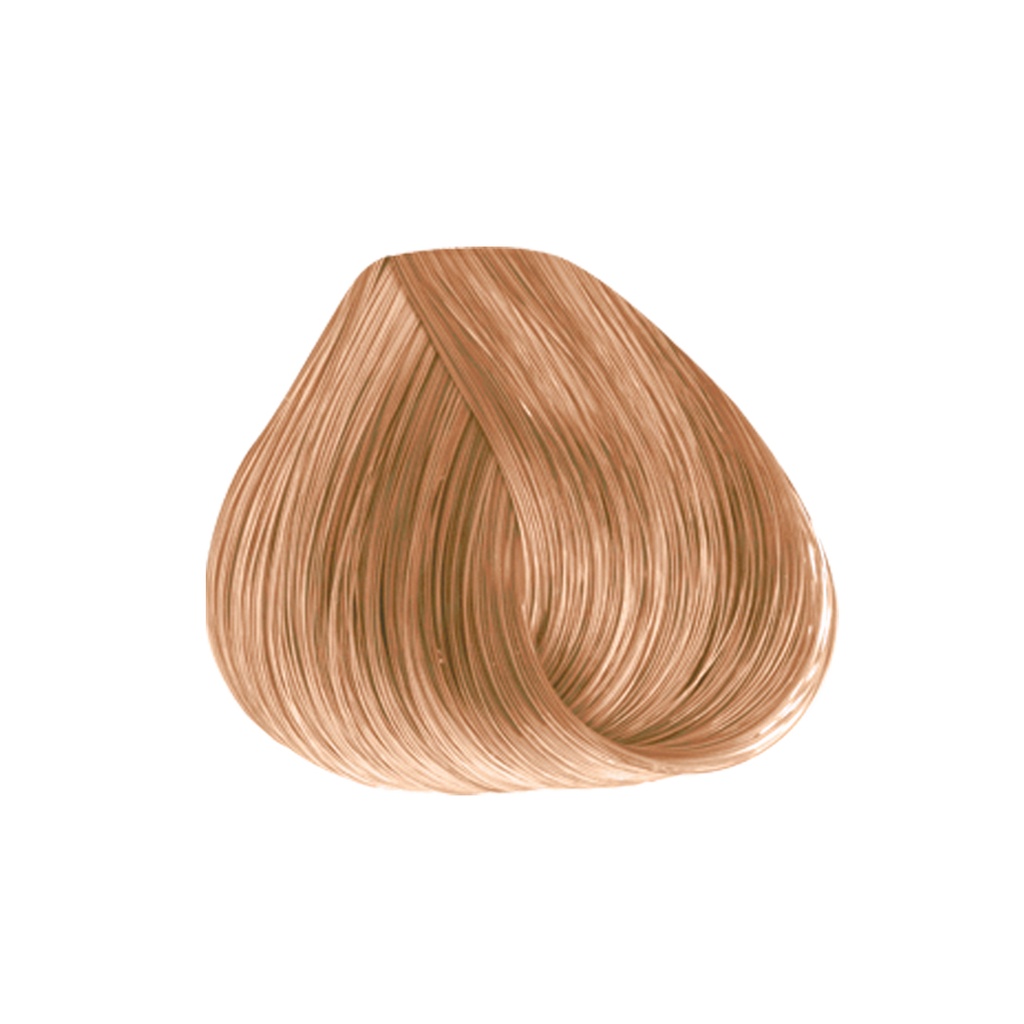 [7804-10.1] TINTE MAJIREL 47.5 GR N-10.1