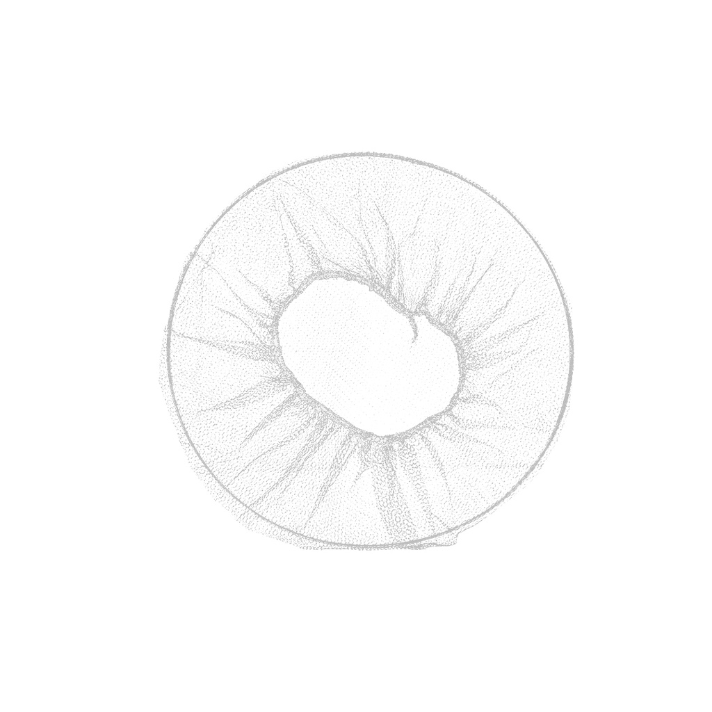 RED DE NYLON P/ CABELLO BLANCA