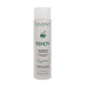 TRATAMIENTO RECONSTRUCTOR RENOV 280 ML