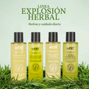 KIT FAMILIAR-HERBAL 100 ML